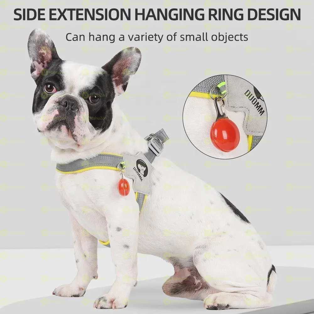 Dog Harness