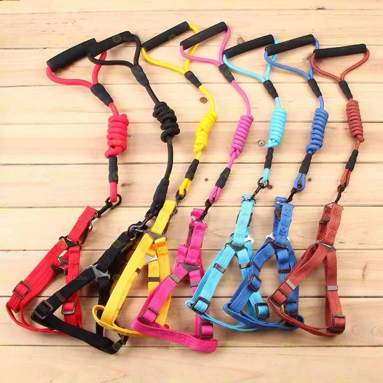 Harness and Leash