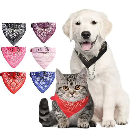 Cute Dog and Cat Bandanna