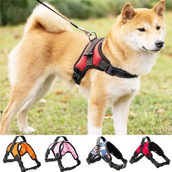 Dog Harness