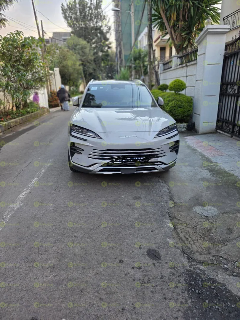 2024 Model-BYD Tang DM-i Champion