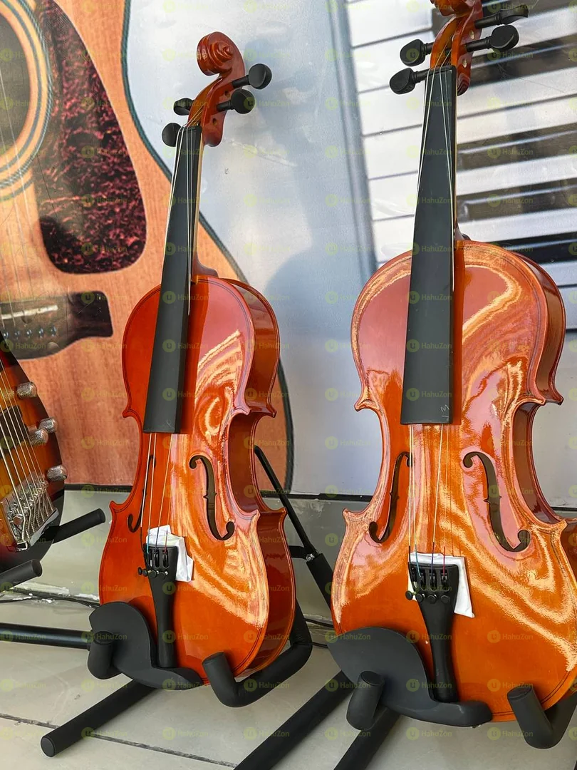 Violin