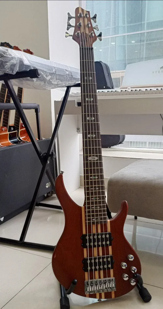 Singer Bass Guitar