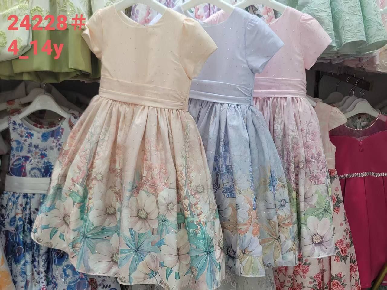 Girl Dress