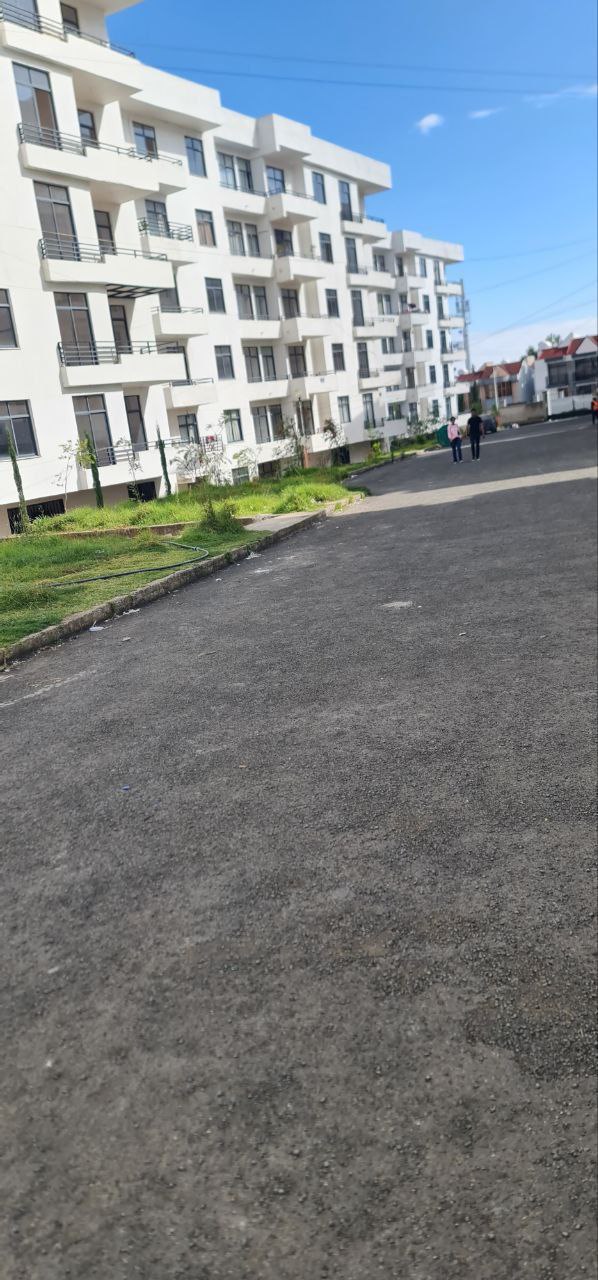 116 ካሬ የሚሸጥ አፓርትመንት በኖህ እሪል እስቴት