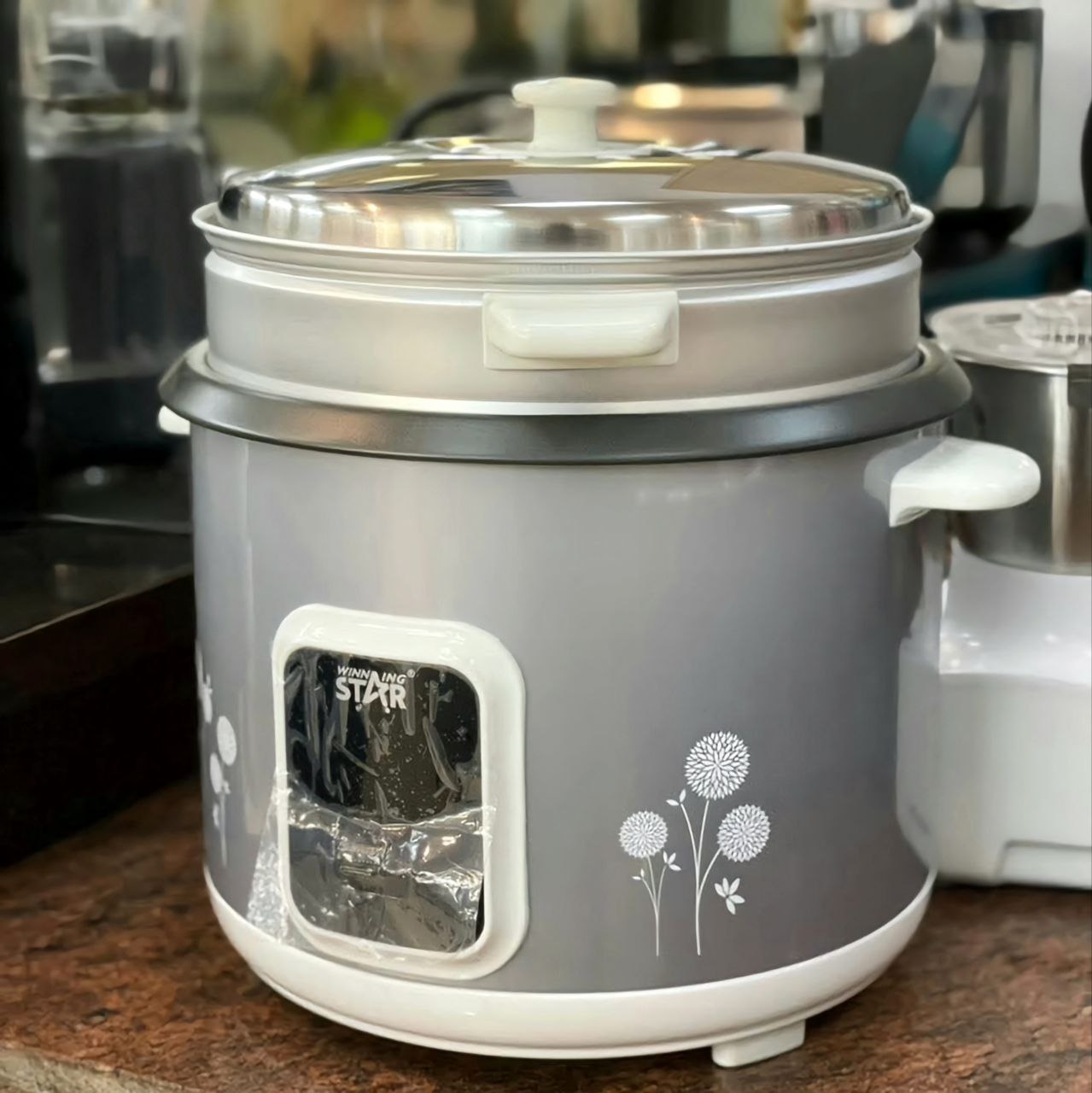 Winning Star Electric Cooker