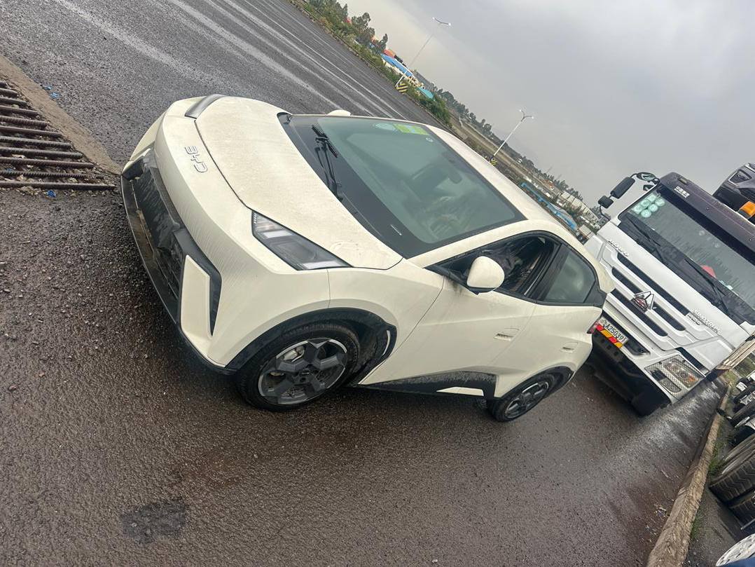2024 Model-BYD Seagull