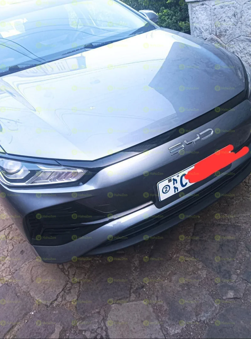 2024 Model-BYD E2