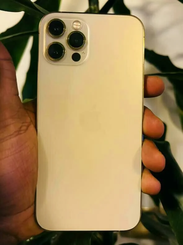 Apple Iphone 12 Pro Max