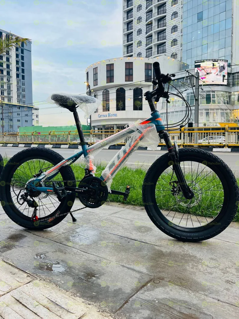 Luta 20 Inch Bicycle