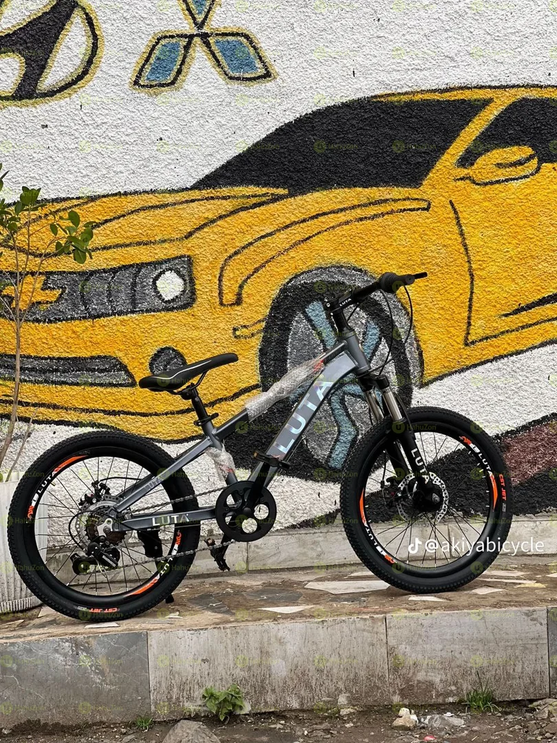 Luta 20 Inch Full Aluminum Body