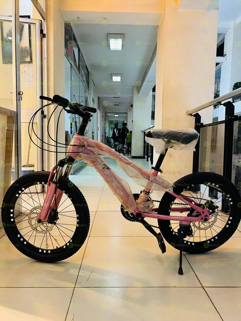 20 Inch Mittes Bicycle