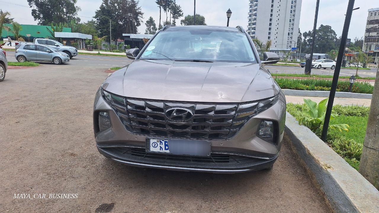 2021 Model-Hyundai Tucson