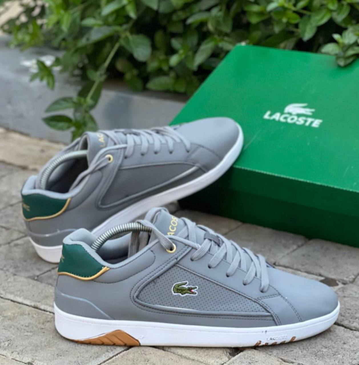 Lacoste Men's Shoes