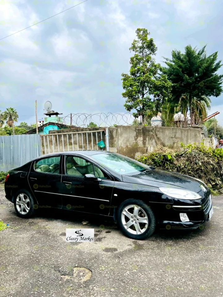 2007 Model-Peugeot 407