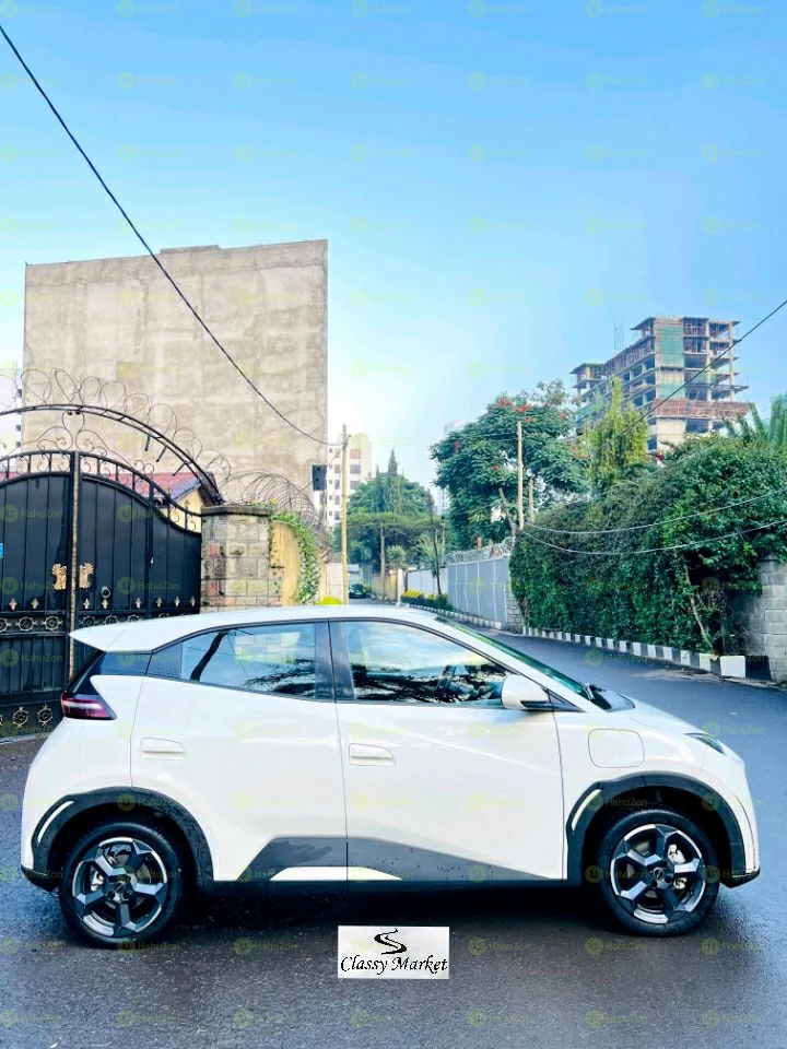 2024 Model-BYD Seagull