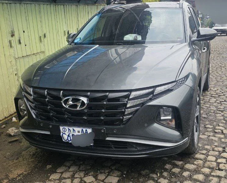 2022 Model-Hyundai Tucson