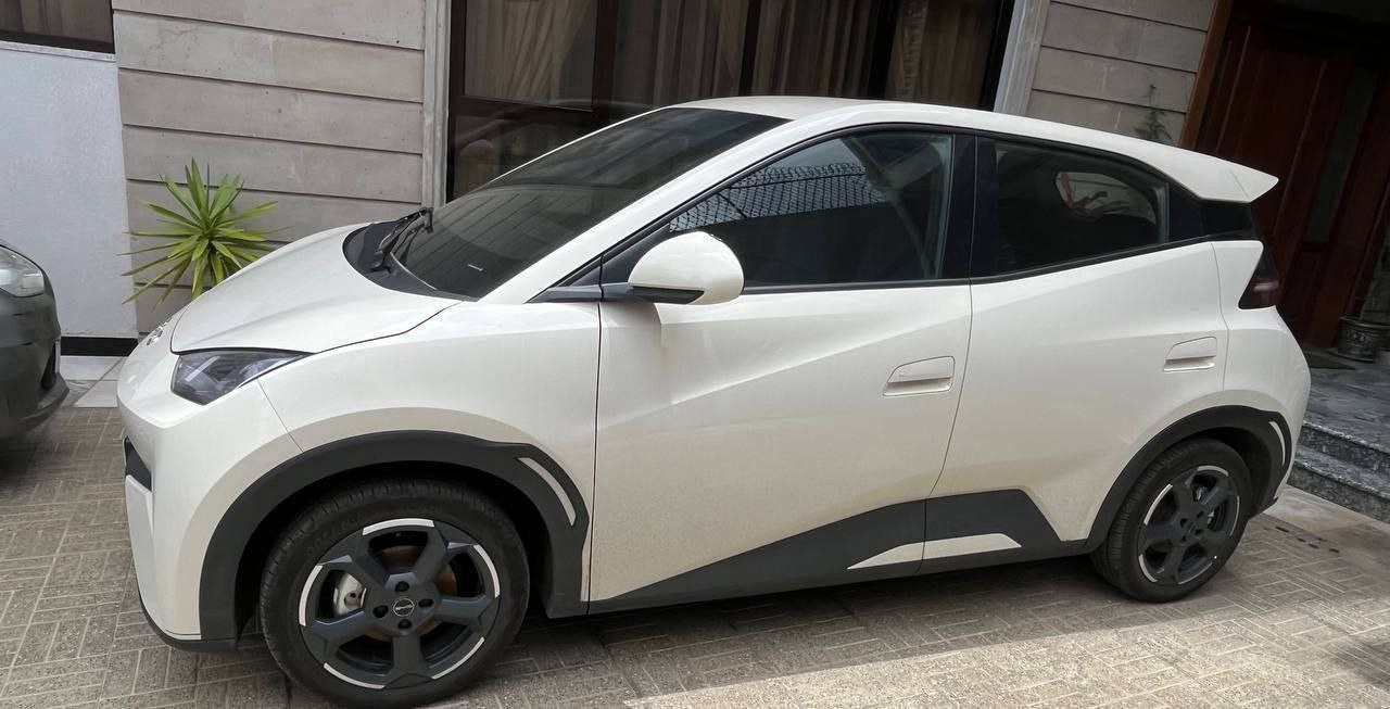 2024 Model-BYD Seagull