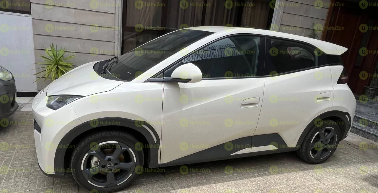 2024 Model-BYD Seagull