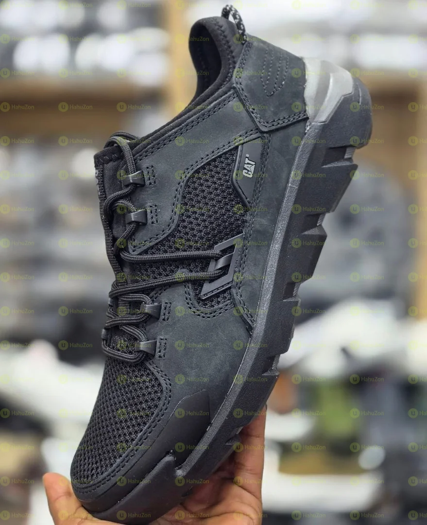 Cat Men's Shoes