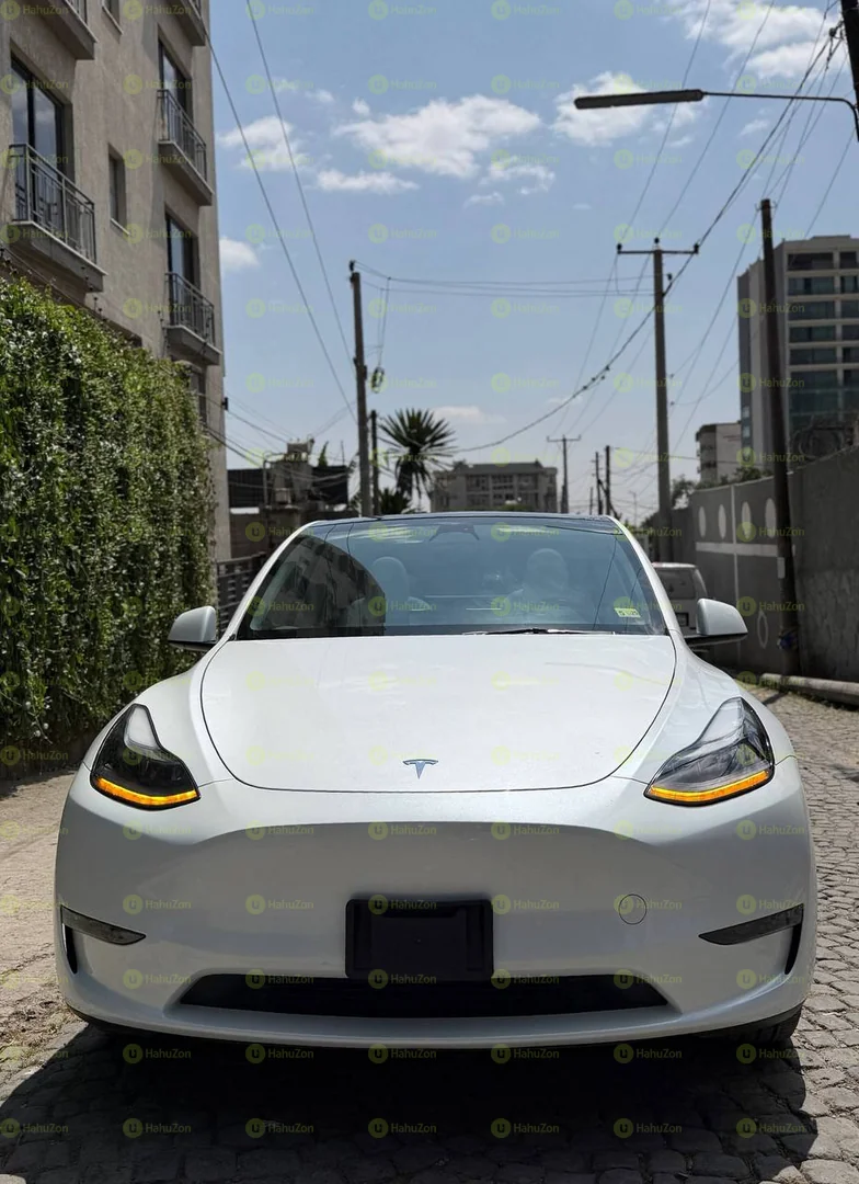 2023 Model-Tesla-Y