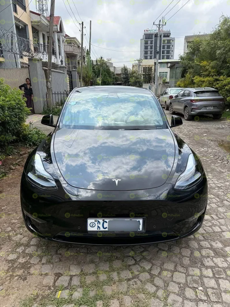 2023 Model-Tesla Y