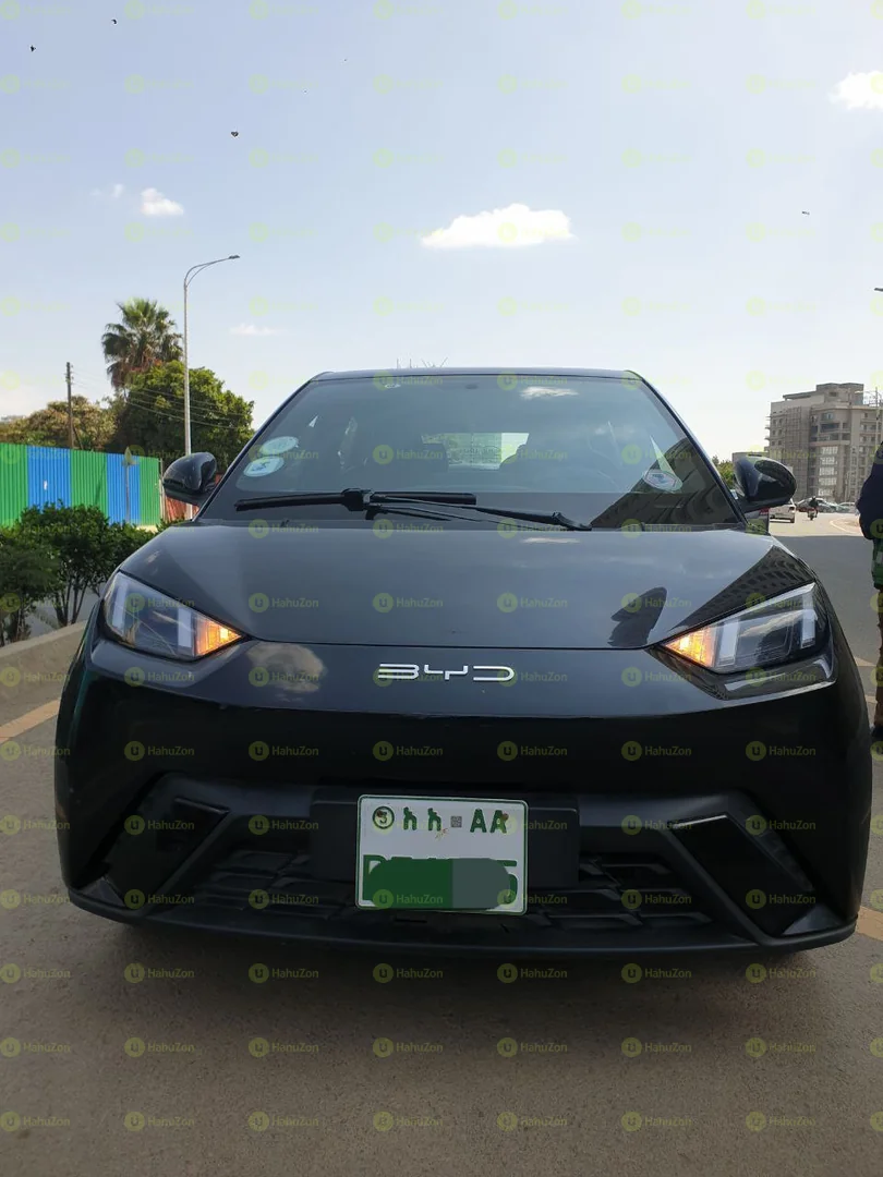 2024 Model-BYD Seagull