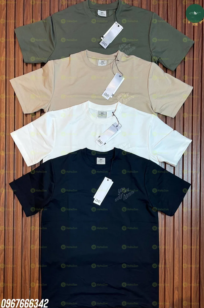 Ae Apparels Premium Heavyweight T-Shirt