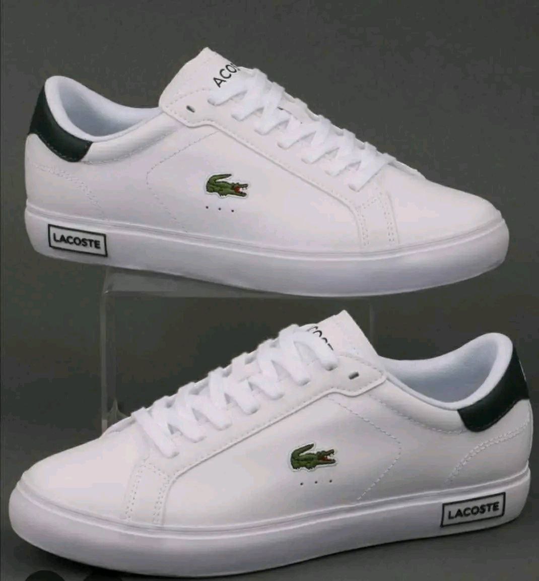 Lacoste Men's Shoes