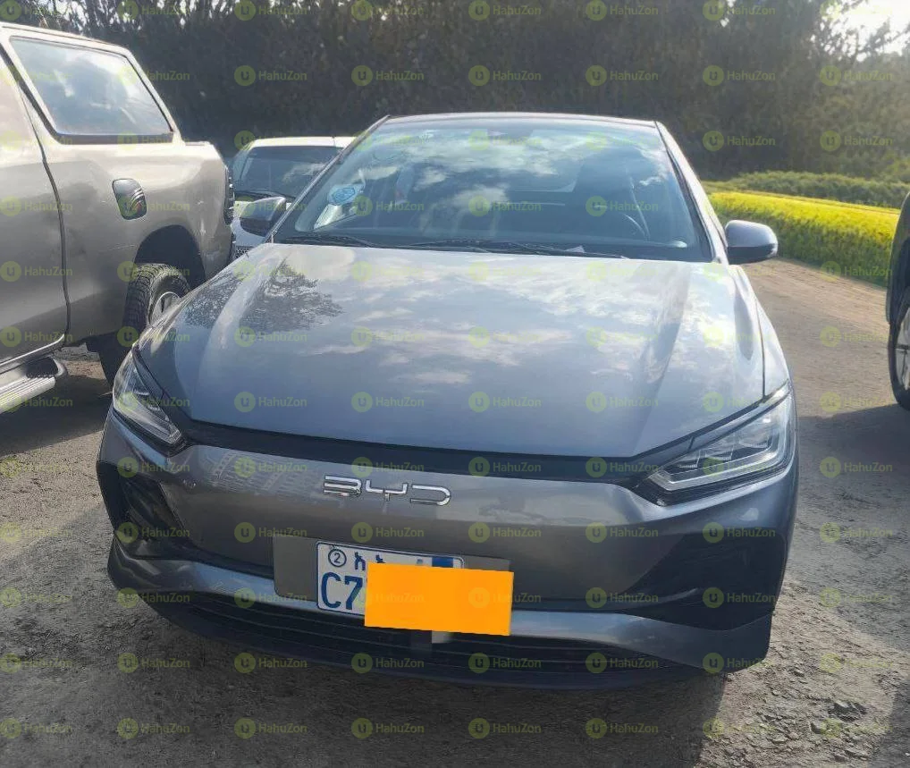 2024 Model-BYD E2