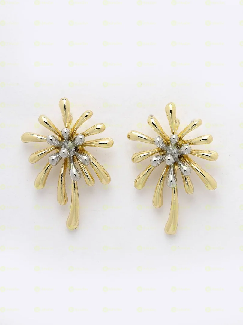 Women's Fashion Earring