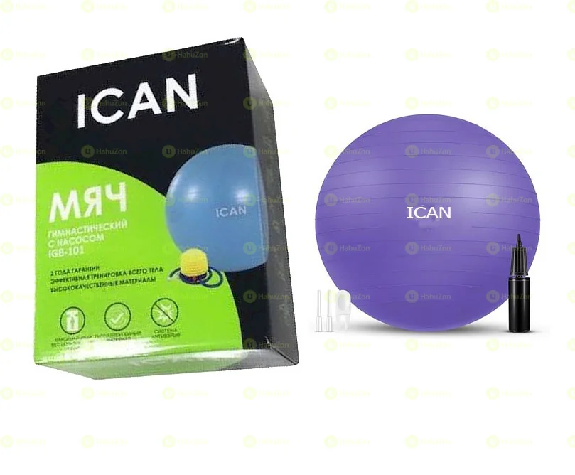 Gym Anti-Burst Gymball 65Cm Purple