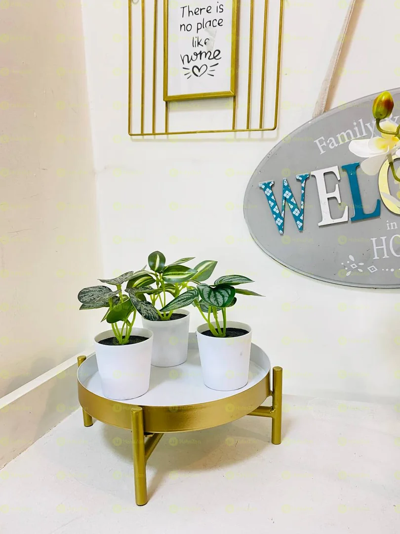 Mini Flowers and Tray