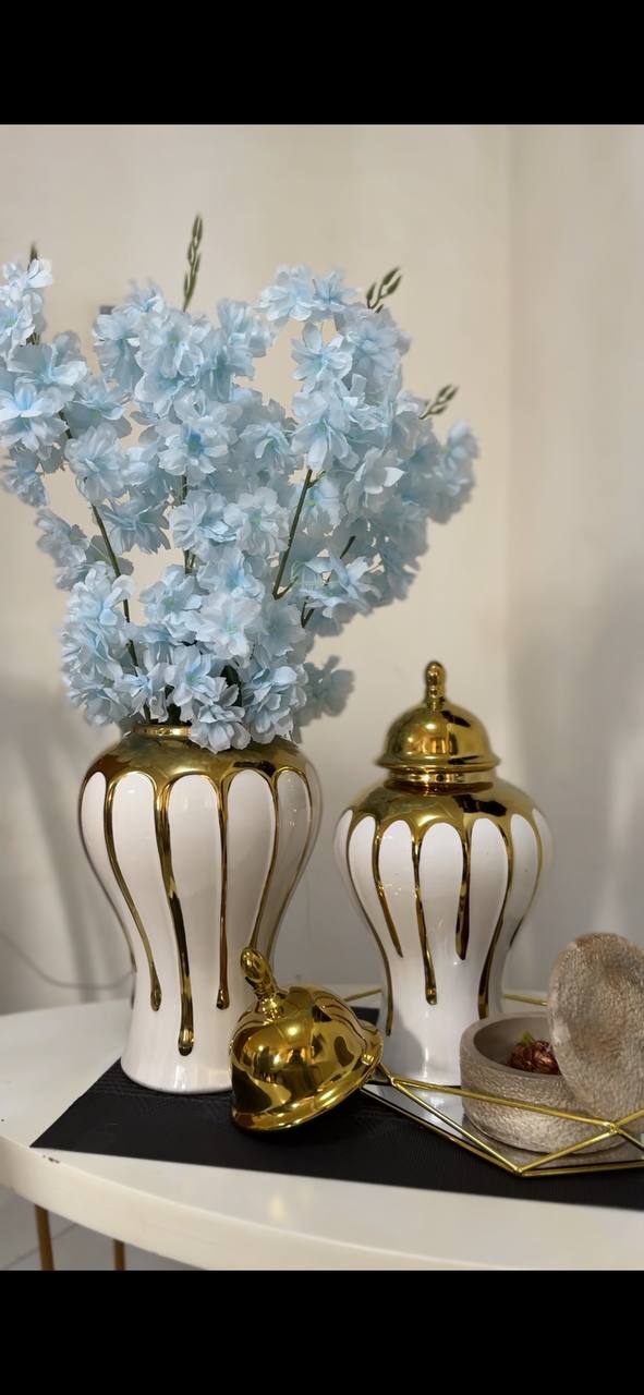 Set Of  2 Modern Ceramic Ginger Jar with flower