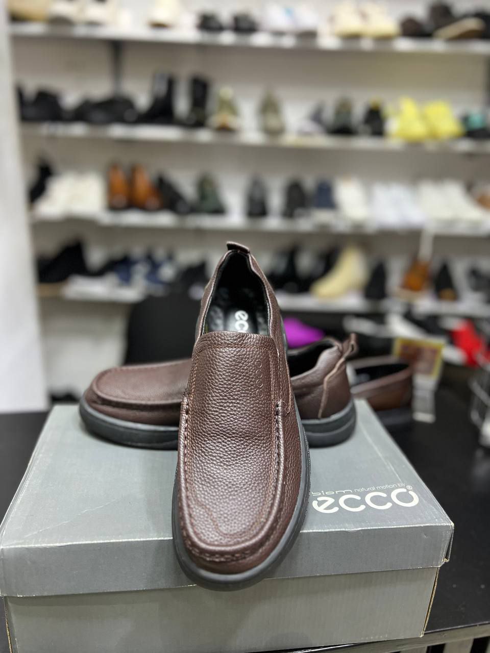 Ecco Men's Shoes