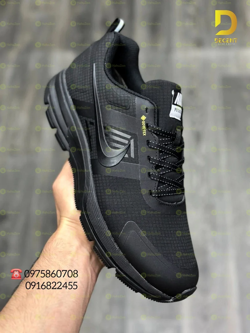 Nike Pegasus 30 Men's Shoes