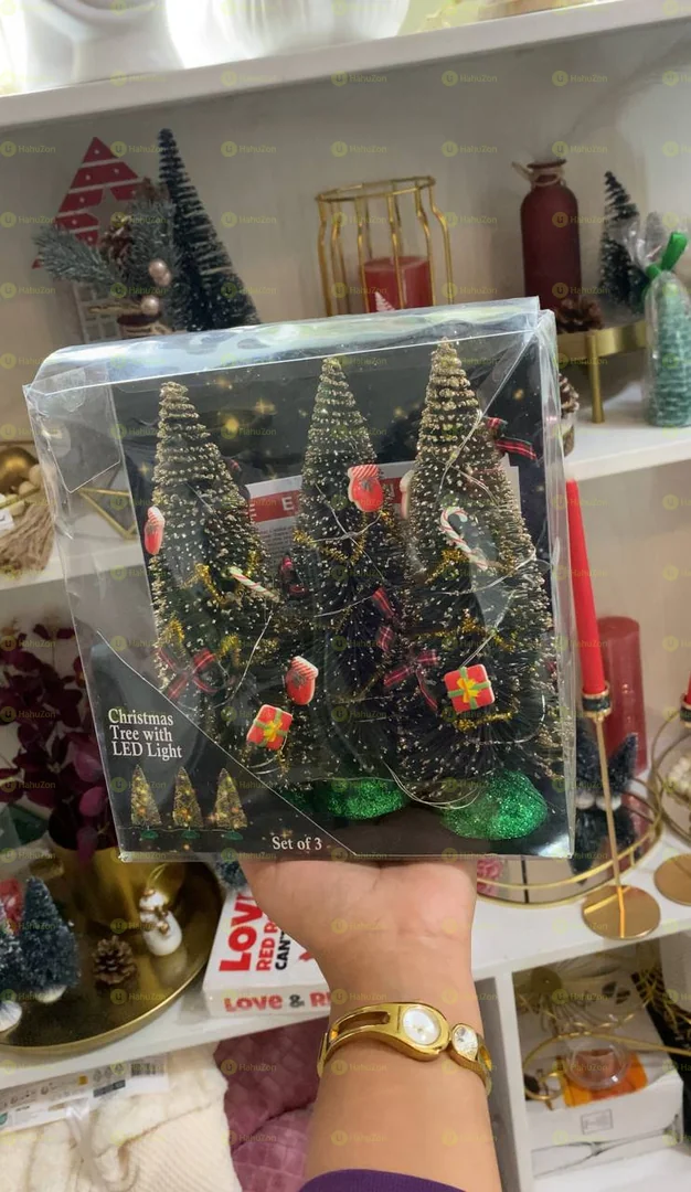 Set of 3 Christmas Tree with Led Light