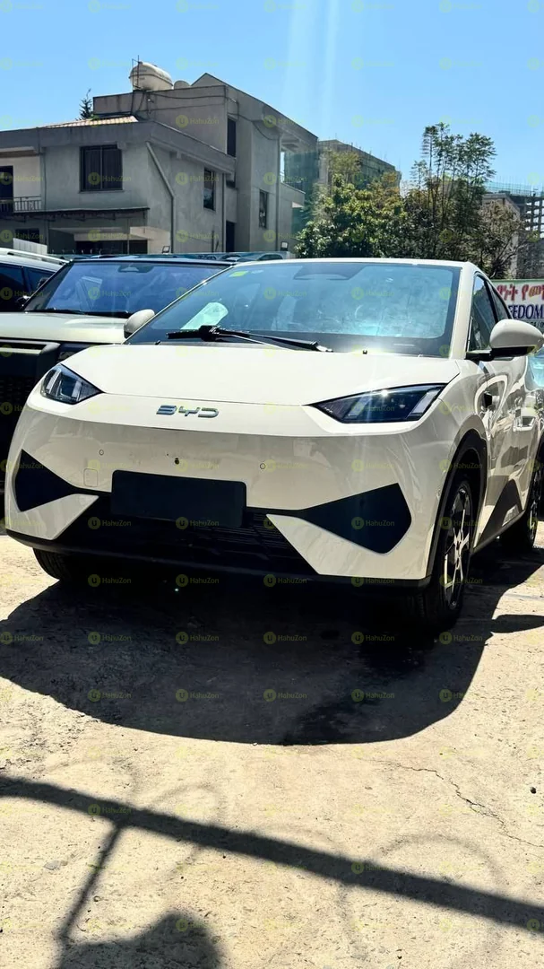 2025 Model-BYD Seagull