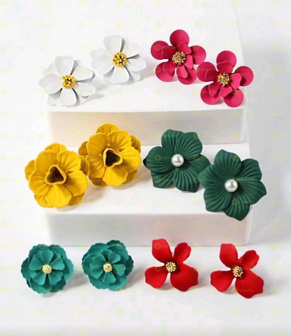 6 Set Women's  Earrings