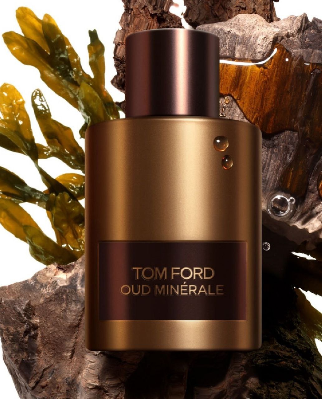 Tom ford Black Orchid Original Unisex Fragrance