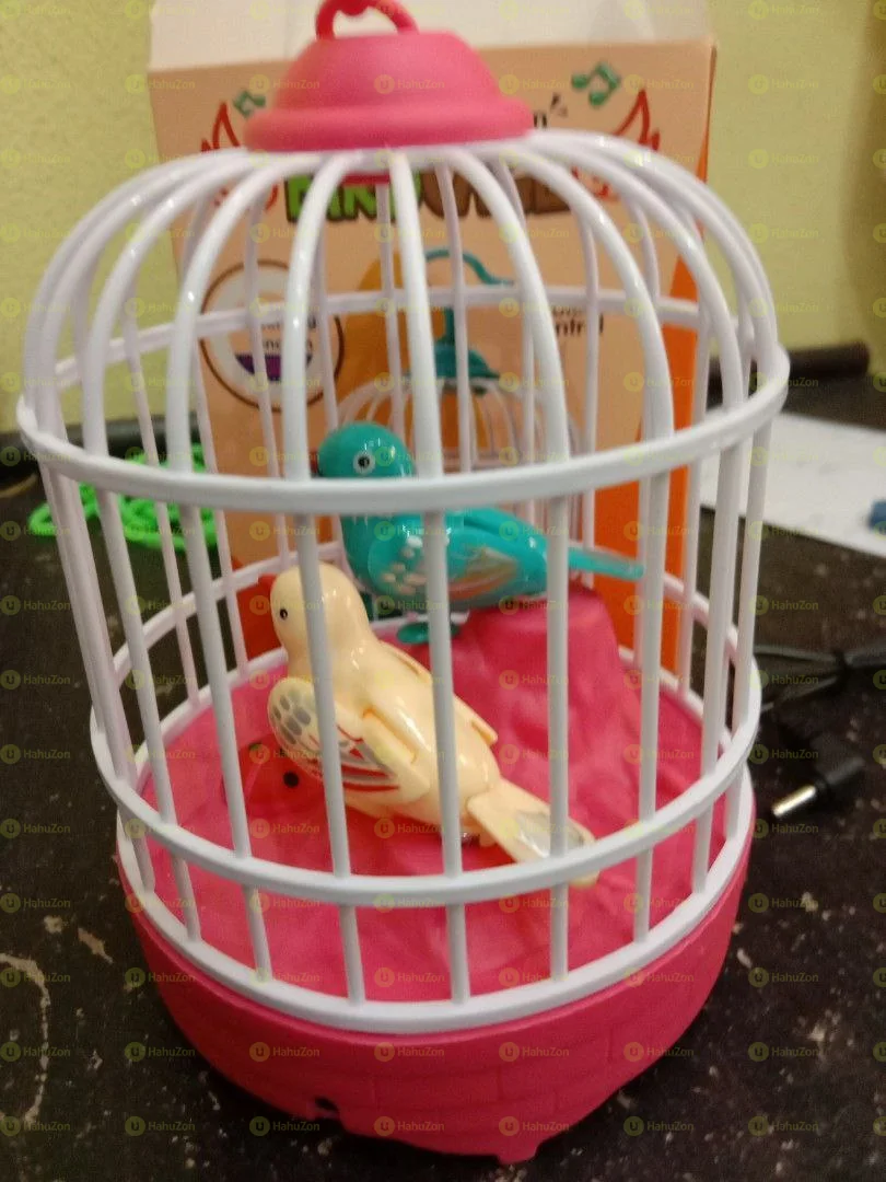 Bird Cage Toy