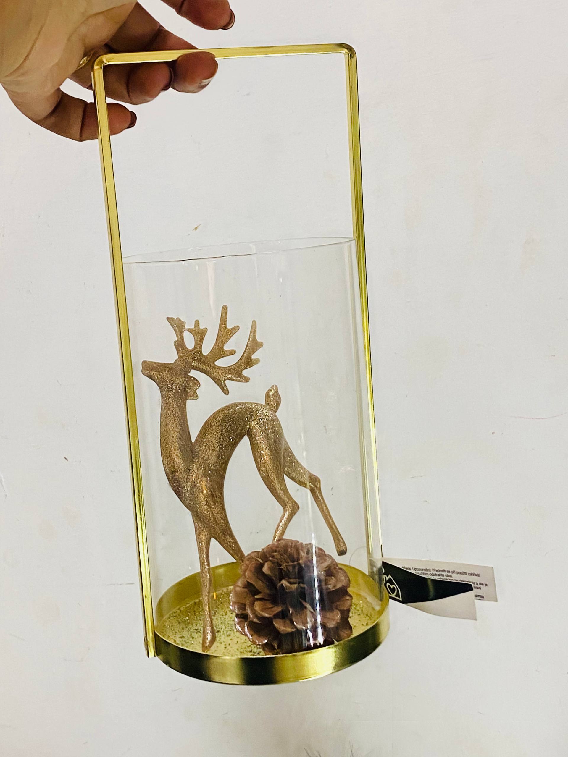 Deer in Glass