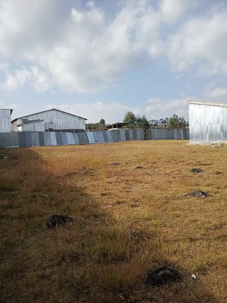 50,000 ካሬ የሚከራይ ቦታ በላምበረት ኮተቤ