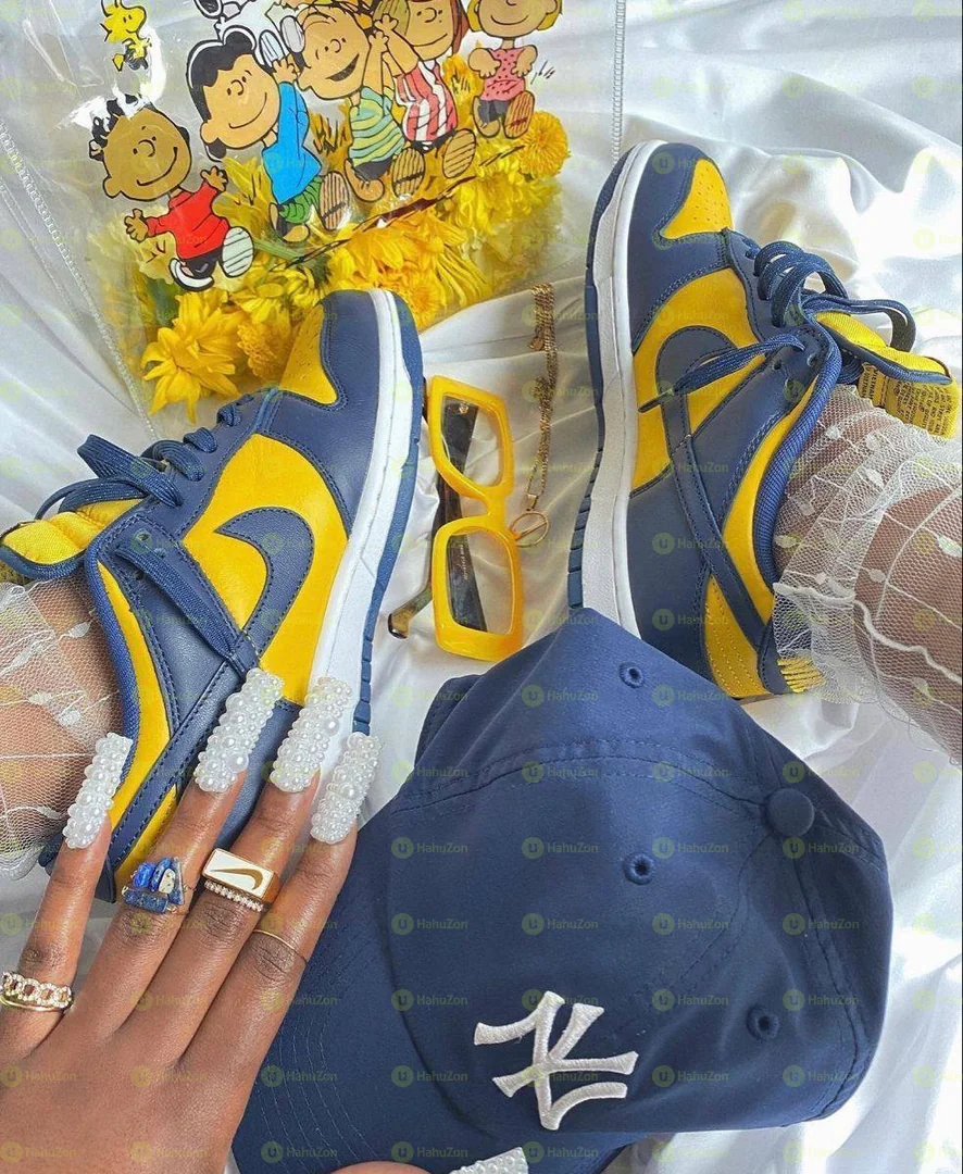 Neike Dunk Michigan Women's Shoes