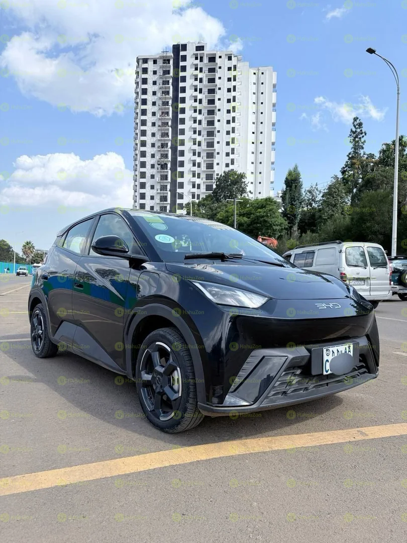 2023 Model-BYD Seagull