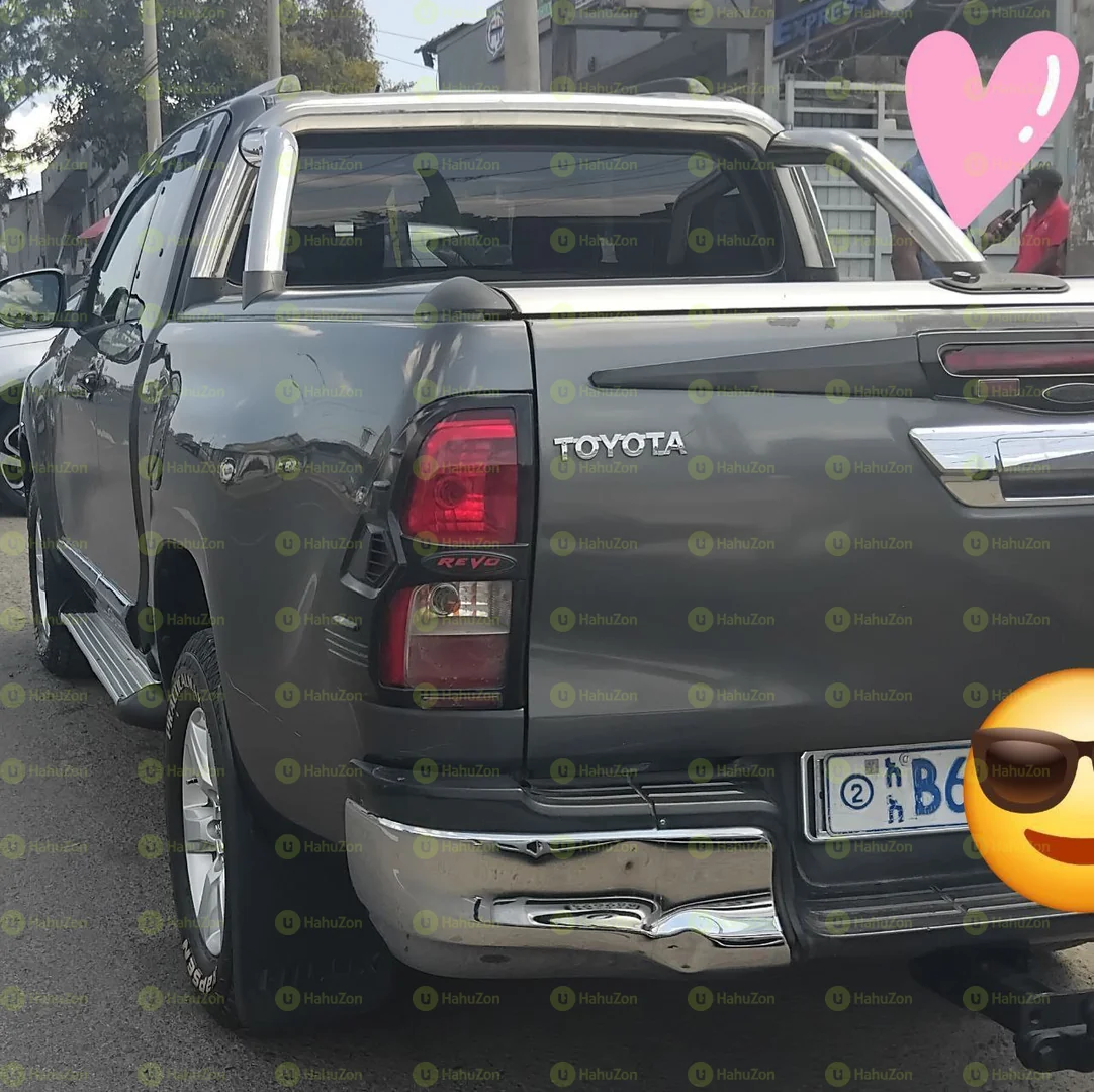 2024 Model- BYD Seagull