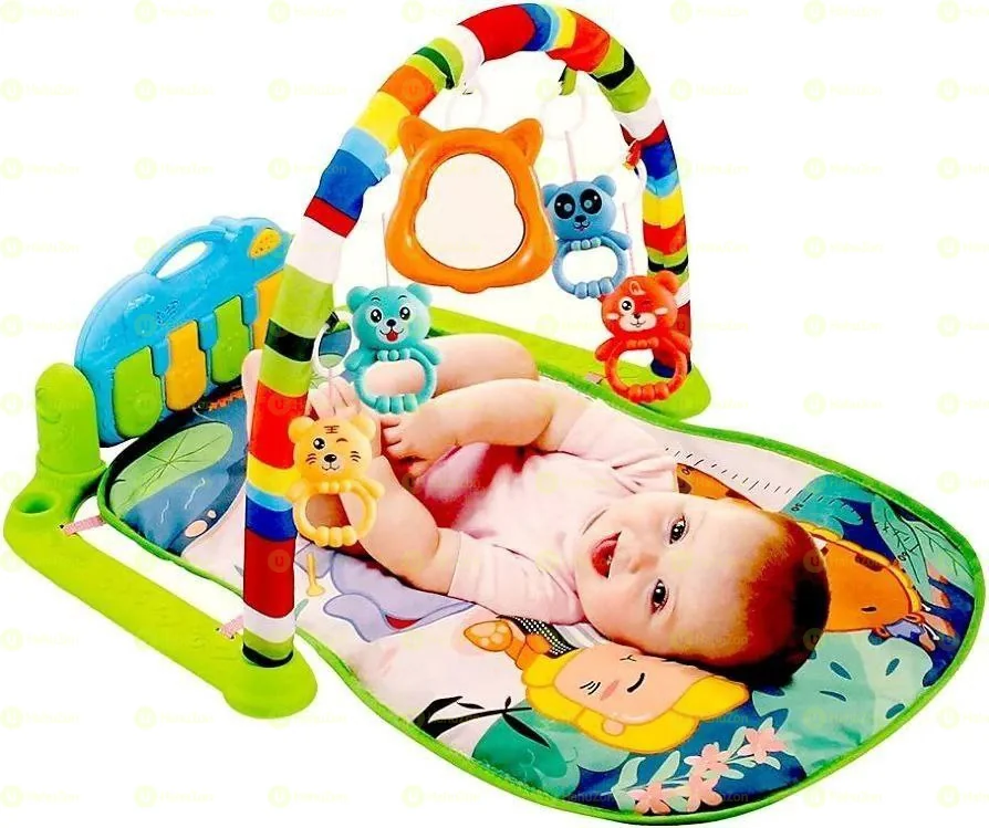 Harmonium Multi-Functional