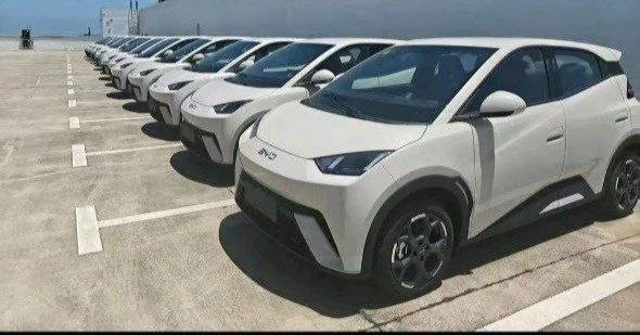 2025 Model- BYD Seagull