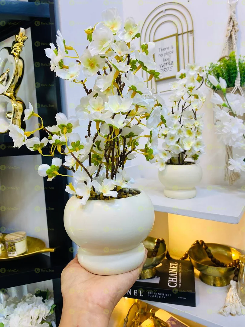 Elegant Serving Jar With Ball