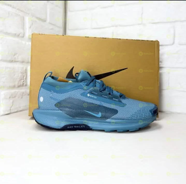 Nike Pegasus Trail 5 Gore-Tex GTX Blue Chem Men's Shoes